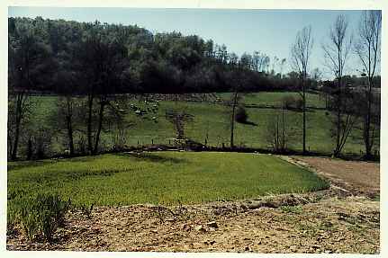 depuis la route principale d'Essertines