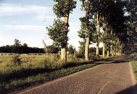 Une route secondaire de la plaine du forez
